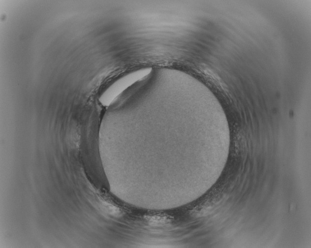 X0000088390693200706121210