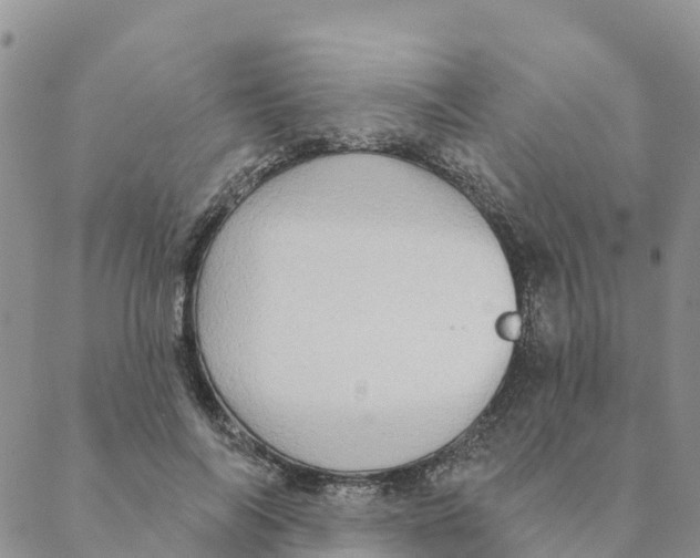 X0000088390694200706121210