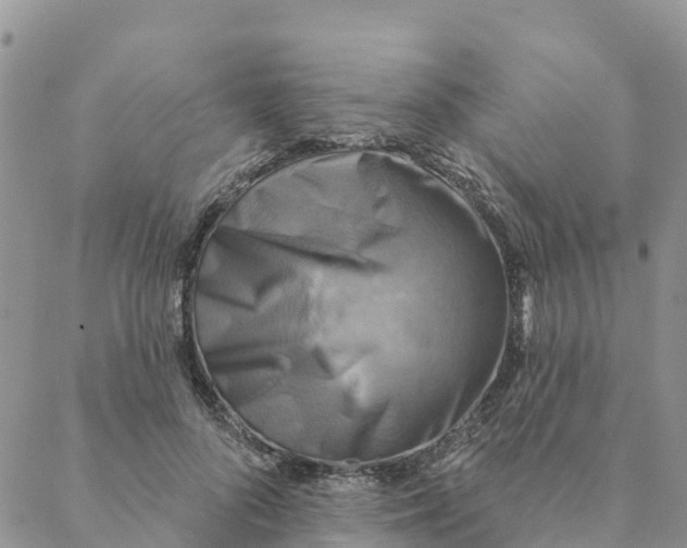 X0000088390696200706121210