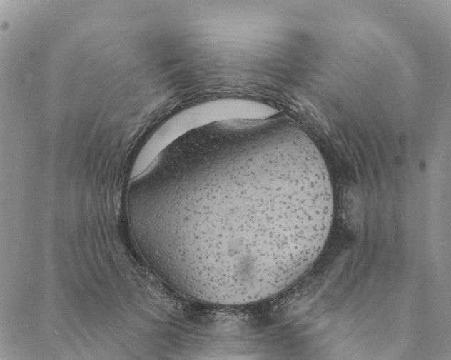 X0000088390697200706121210