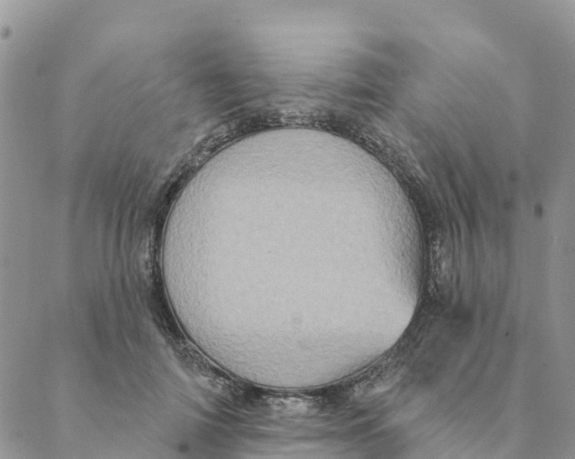 X0000088390698200706121210