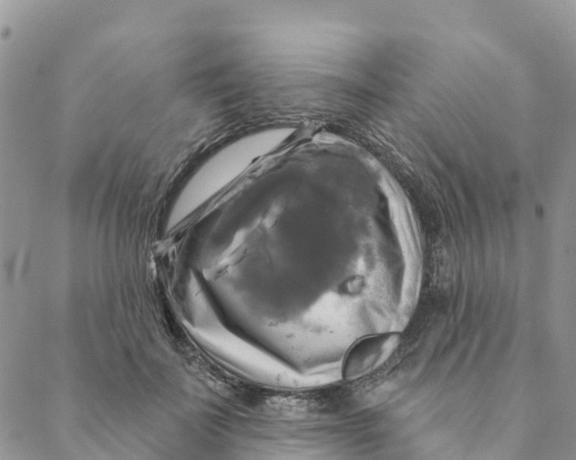 X0000088390699200706121210