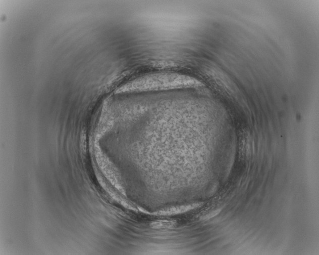 X0000088390700200706121210