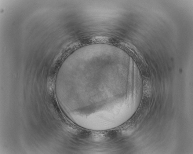 X0000088390701200706121210