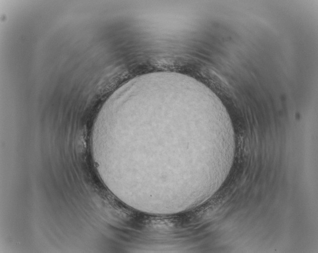 X0000088390702200706121210