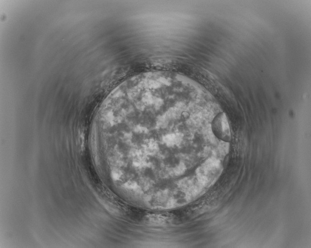 X0000088390703200706121210