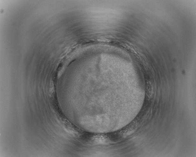 X0000088390704200706121210