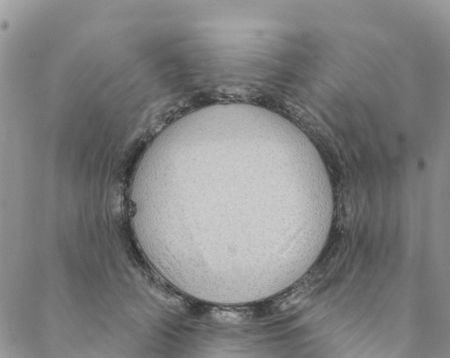 X0000088390706200706121210