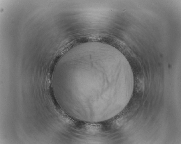 X0000088390707200706121210