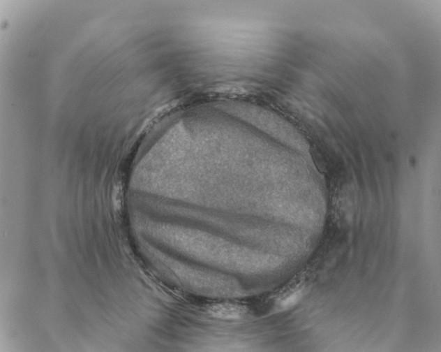 X0000088390708200706121210