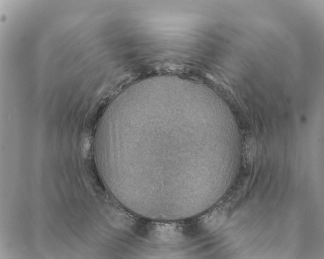 X0000088390709200706121210