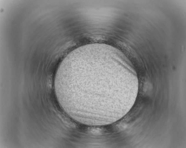 X0000088390710200706121210