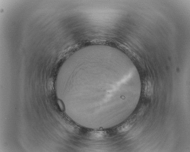 X0000088390711200706121210