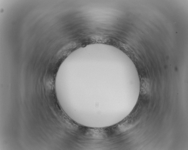 X0000088390713200706121210