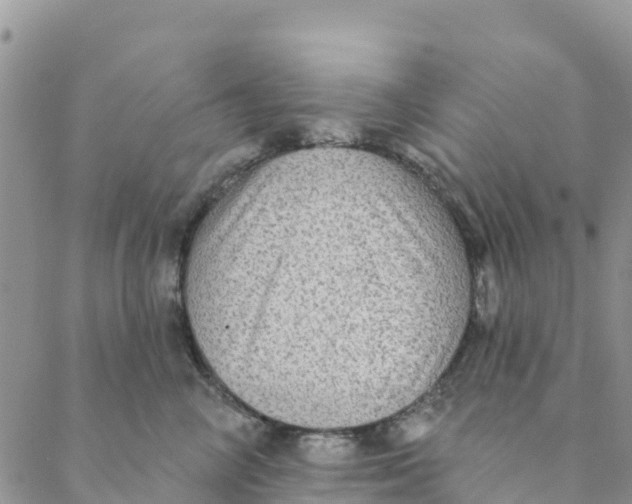 X0000088390714200706121210