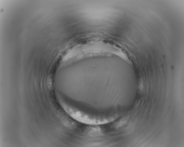 X0000088390715200706121210