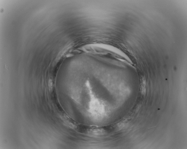 X0000088390716200706121210