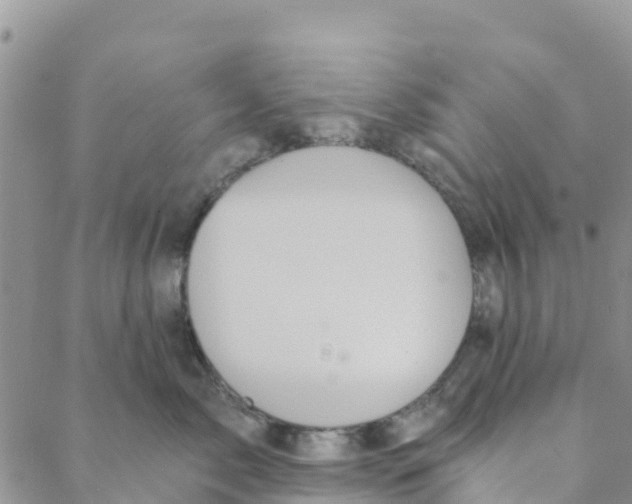 X0000088390717200706121210