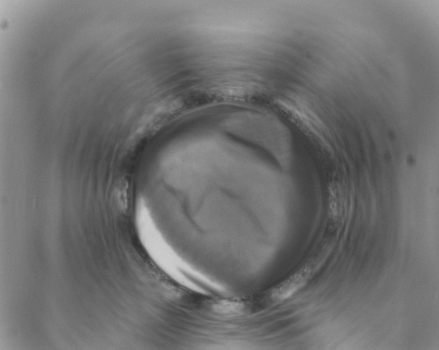 X0000088390718200706121210