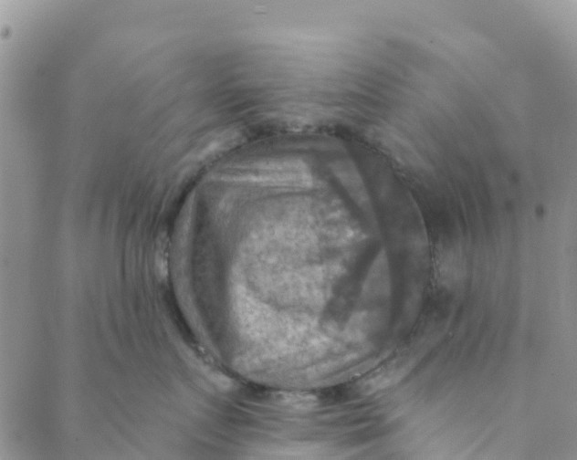 X0000088390719200706121210