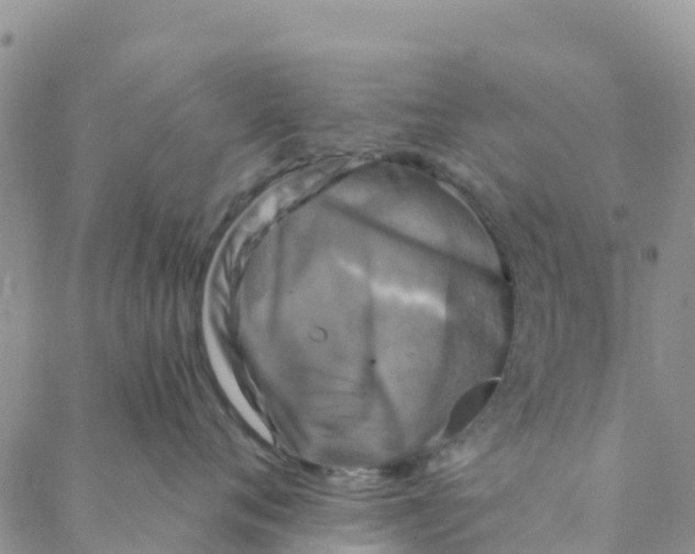 X0000088390720200706121210