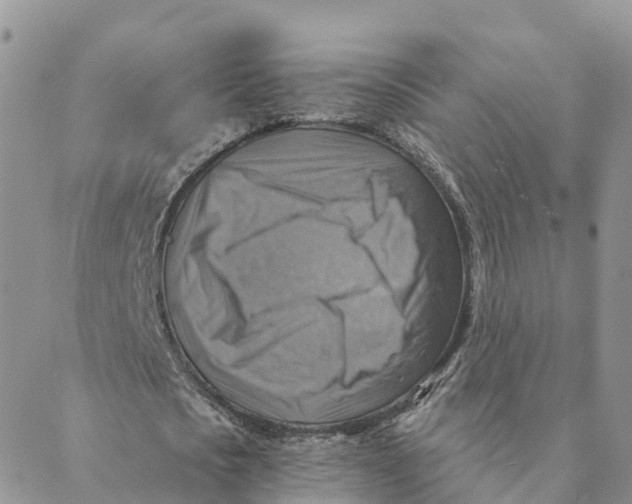 X0000088390721200706121209