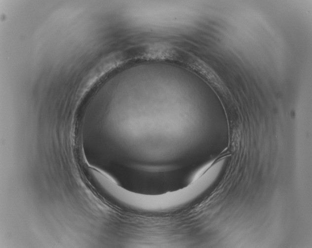 X0000088390722200706121209