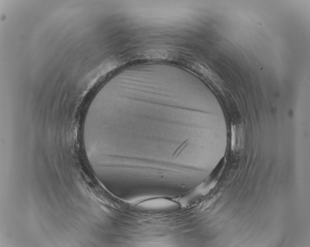 X0000088390723200706121209