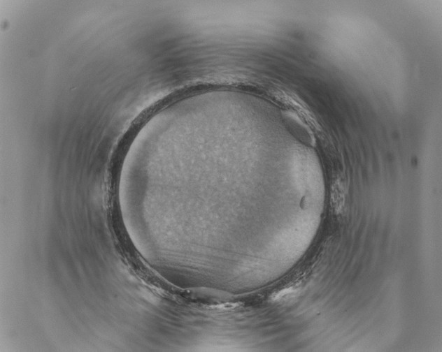 X0000088390724200706121209