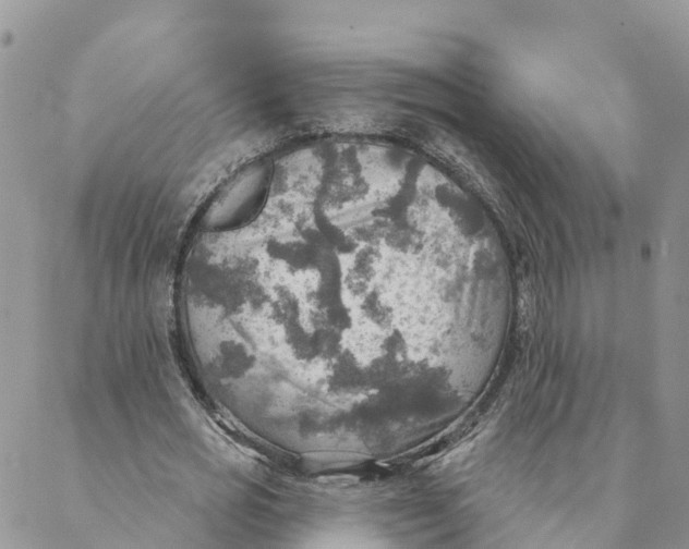 X0000088390725200706121209