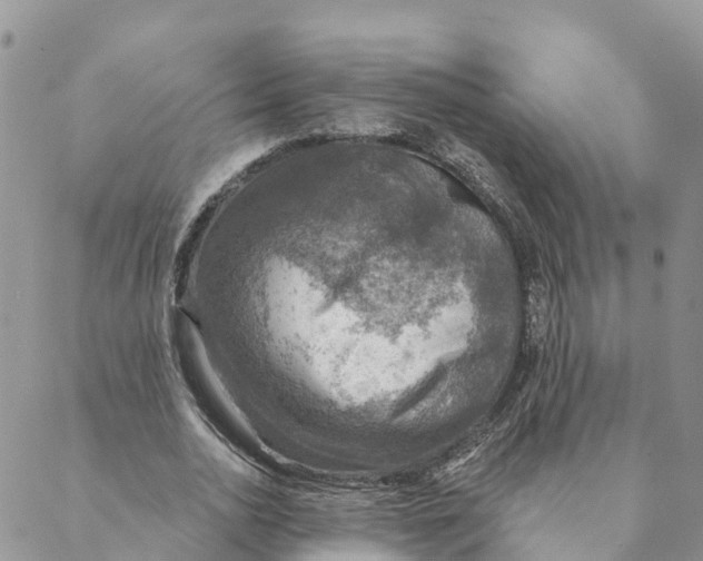 X0000088390726200706121209