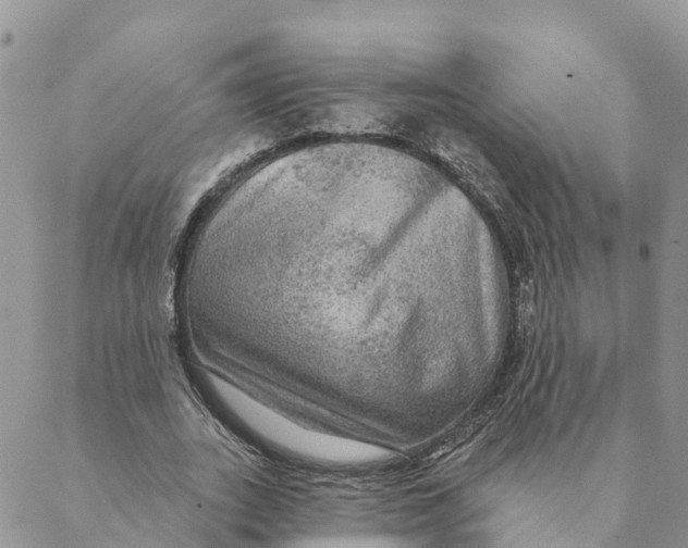 X0000088390727200706121209