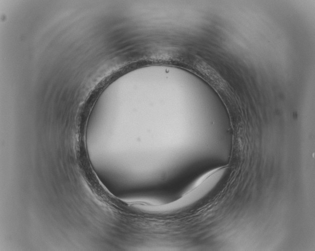 X0000088390728200706121209