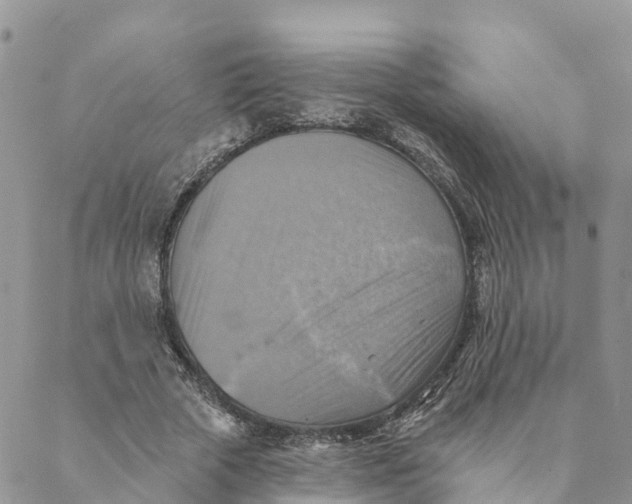 X0000088390729200706121209