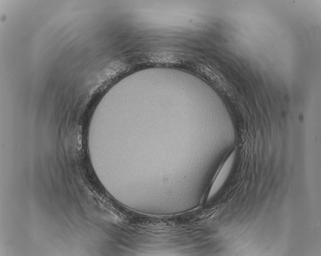 X0000088390731200706121209