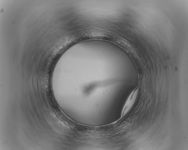 X0000088390732200706121209