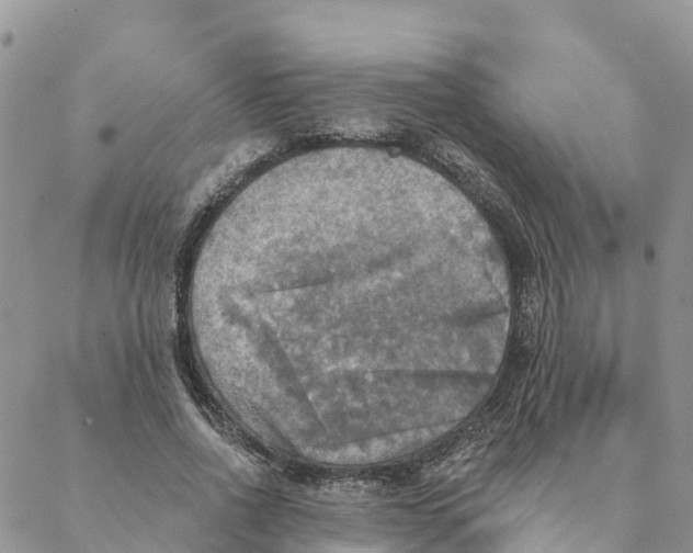 X0000088390734200706121209