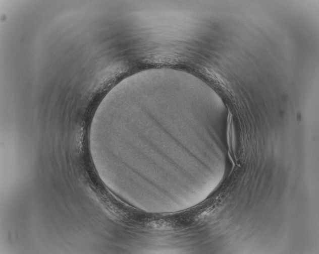 X0000088390735200706121209