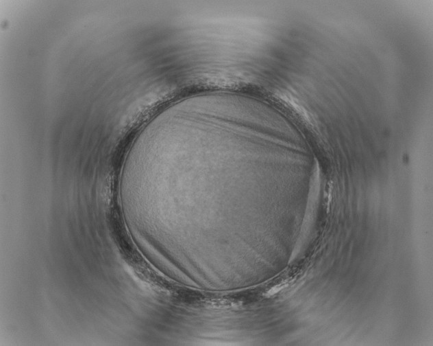 X0000088390736200706121209