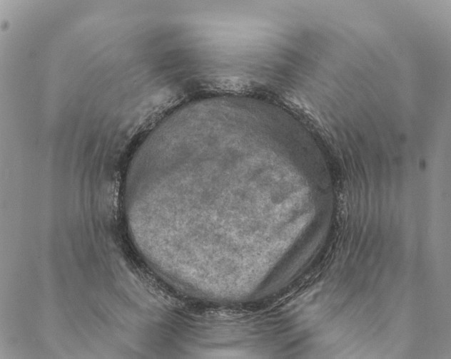 X0000088390739200706121209