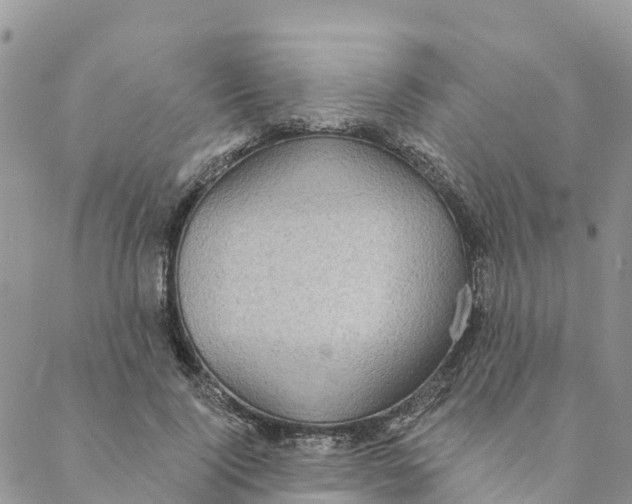 X0000088390740200706121209