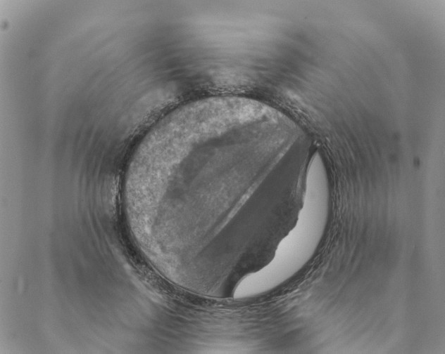 X0000088390742200706121209