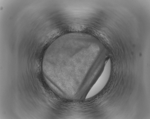 X0000088390743200706121209