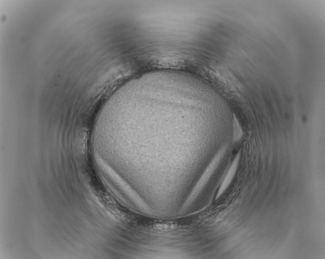 X0000088390744200706121209