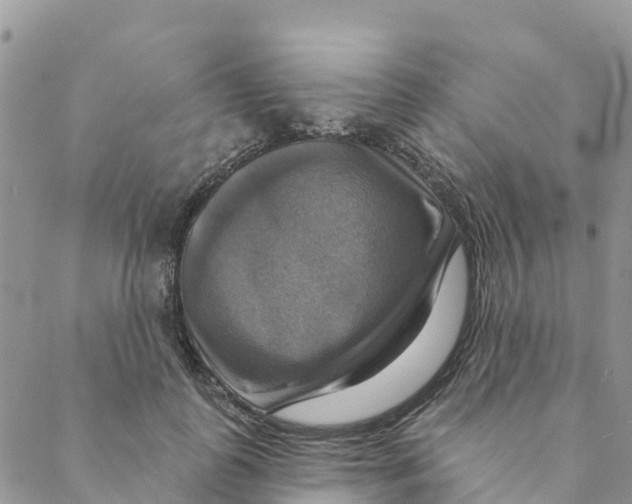 X0000088390747200706121209