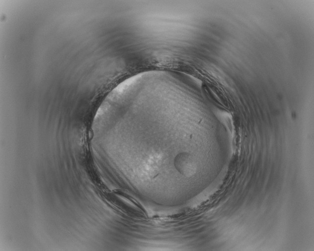 X0000088390748200706121209