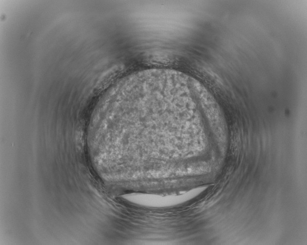 X0000088390749200706121209