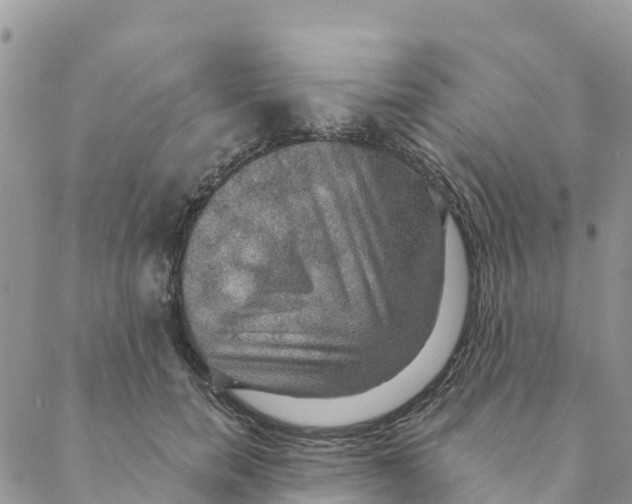 X0000088390750200706121209