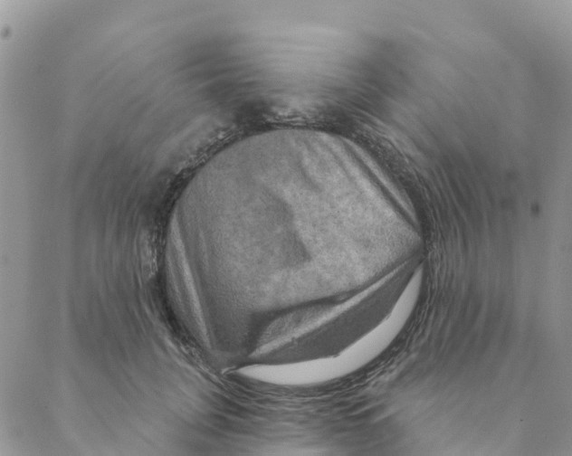 X0000088390751200706121209