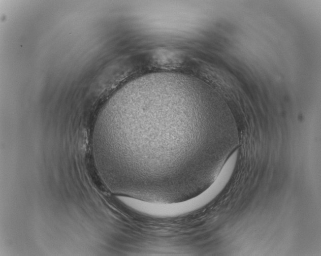 X0000088390752200706121209